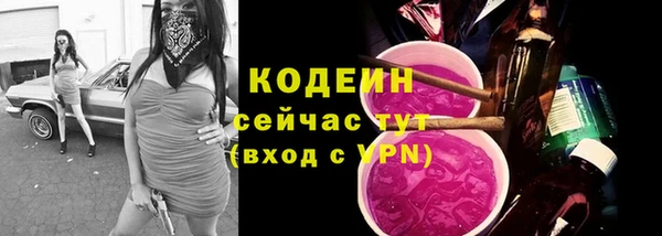 соль ск Пестово
