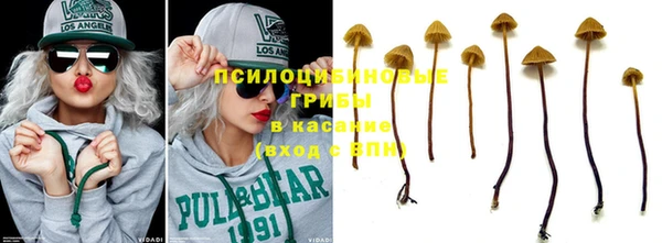 соль ск Пестово