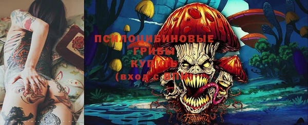 ALPHA PVP Осинники